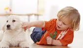 Thú cưng giúp trẻ tự kỷ giảm lo âu