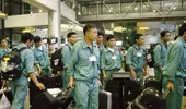 Tháng 11-2015: 9.837 lao động đi làm việc ở nước ngoài 