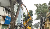 TP Hà Nội cắt tỉa cây xanh bằng công nghệ mới: Hiệu suất công việc tăng gấp 5 lần