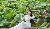 Hoa hậu Áo dài Biển Việt Nam Dương Kim Ánh đẹp thuần khiết bên hoa sen