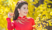 Á khôi "Người đẹp xứ Dừa" Xuân An e ấp áo dài dạo phố xuân