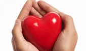 Sự khác nhau giữa trái tim nam và nữ
