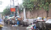 Khổ vì ô nhiễm rác