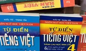 Thu hồi 8 cuốn từ điển tiếng Việt trên toàn quốc
