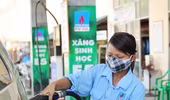 Triển khai đại trà xăng sinh học tại Hà Nội