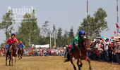 Rộn ràng Hội đua ngựa Gò Thì Thùng