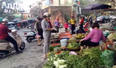 Chợ sớm đầu năm, rau củ quả đắt gấp đôi ngày thường