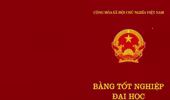 Bằng tốt nghiệp đại học bị mất, có được cấp lại?