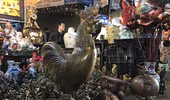 Gà đồng giả cổ cao cả mét, giá hàng chục triệu đồng