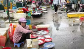 Vụ cá chết hàng loạt: Công bố số điện thoại nóng hỗ trợ ngư dân