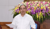 Thủ tướng Chính phủ Nguyễn Xuân Phúc: Làm rõ bài học từ vụ cá chết hàng loạt
