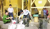 Trộn hóa chất có nguồn gốc từ Trung Quốc vào thức ăn chăn nuôi 