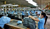 Hiệp định Đối tác xuyên Thái Bình Dương: Doanh nghiệp Việt dường như chưa sẵn sàng