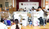 Agribank - "Đầu tàu" xây dựng nông thôn mới 