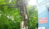 Sớm di dời cột điện để giảm ùn tắc