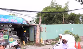 Cây xanh tiếp tục bật gốc, một người may mắn thoát chết