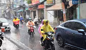 "Cơn mưa vàng" giải nhiệt oi bức ở TP. Hồ Chí Minh