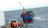 Cảnh sát biển cứu tàu cá gặp nạn trong mưa bão