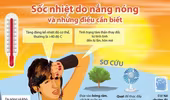 Đề phòng sốc nhiệt do nắng nóng 