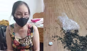 “Nữ quái” mua bán, tàng trữ trái phép chất ma tuý sa lưới