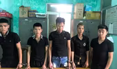 Bắt giữ nhóm đối tượng chuyên trộm cây cảnh