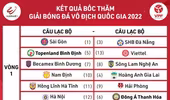 V-League khai mạc muộn, ngắt quãng 4 tháng phục vụ đội tuyển