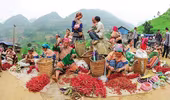 Đặc sắc phiên chợ vùng cao Hà Giang tại Thủ đô