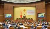 Sẽ tổ chức hội nghị đại biểu Quốc hội chuyên trách để xem xét 9 luật được dư luận quan tâm