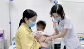 Hà Nội: Dịch sốt xuất huyết đã được kiểm soát, cảnh giác với cúm A