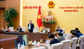 Xem xét các nội dung trình kỳ họp bất thường lần thứ chín của Quốc hội