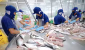 Campuchia sẽ xem xét lại quyết định tạm ngừng nhập khẩu 4 loại cá từ Việt Nam