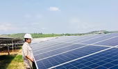 Sai phạm tại hàng loạt dự án điện mặt trời 