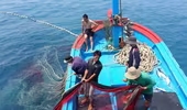 Đề xuất dùng ngân sách để bù giá xăng dầu cho ngư dân