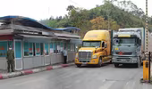 Không để xảy ra ùn tắc hàng hóa tại quốc lộ 1A và khu vực cửa khẩu