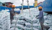 Xuất khẩu gạo của Hà Nội tăng mạnh