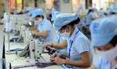 Xuất khẩu hàng dệt may dự báo đạt 44 tỷ USD