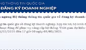 Hệ thống đăng ký kinh doanh vẫn tạm dừng hoạt động