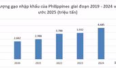 Philippines có thể nhập 4,35 triệu tấn gạo từ Việt Nam