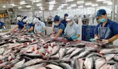 Thủy sản Việt Nam lần đầu giữ vị trí top 3 xuất khẩu lớn nhất vào Singapore