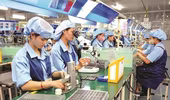 300 doanh nghiệp công nghiệp hỗ trợ tham gia chuỗi cung ứng của Samsung, Honda, Toyota