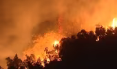 Cháy rừng nghiêm trọng ở Morocco, Bồ Đào Nha
