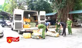 Phát hiện vụ vận chuyển gần 1,5 tấn nội tạng động vật không rõ nguồn gốc