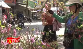 Tổ chức giao thông phục vụ chợ hoa Xuân 2023
