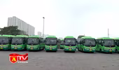 Transerco huy động 76.818 lượt xe buýt/ngày phục vụ nhân dân dịp Tết Nguyên đán 2023