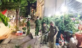 Xử lý nghiêm tình trạng lấn chiếm vỉa hè, hoạt động ngang nhiên giữa mùa dịch