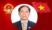 [Info] Tân Bộ trưởng Bộ Ngoại giao Bùi Thanh Sơn