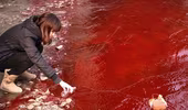 TQ: Xuất hiện dòng sông "máu"