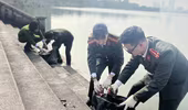 Công an quận Tây Hồ lan tỏa thông điệp: 'Thả cá xuống hồ Tây, hãy giữ lại túi nilon'