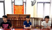 Tạm giữ hình sự 3 đối tượng có hành vi giết người