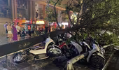 Hình ảnh Công an Hà Nội xuyên đêm khắc phục hậu quả mưa bão